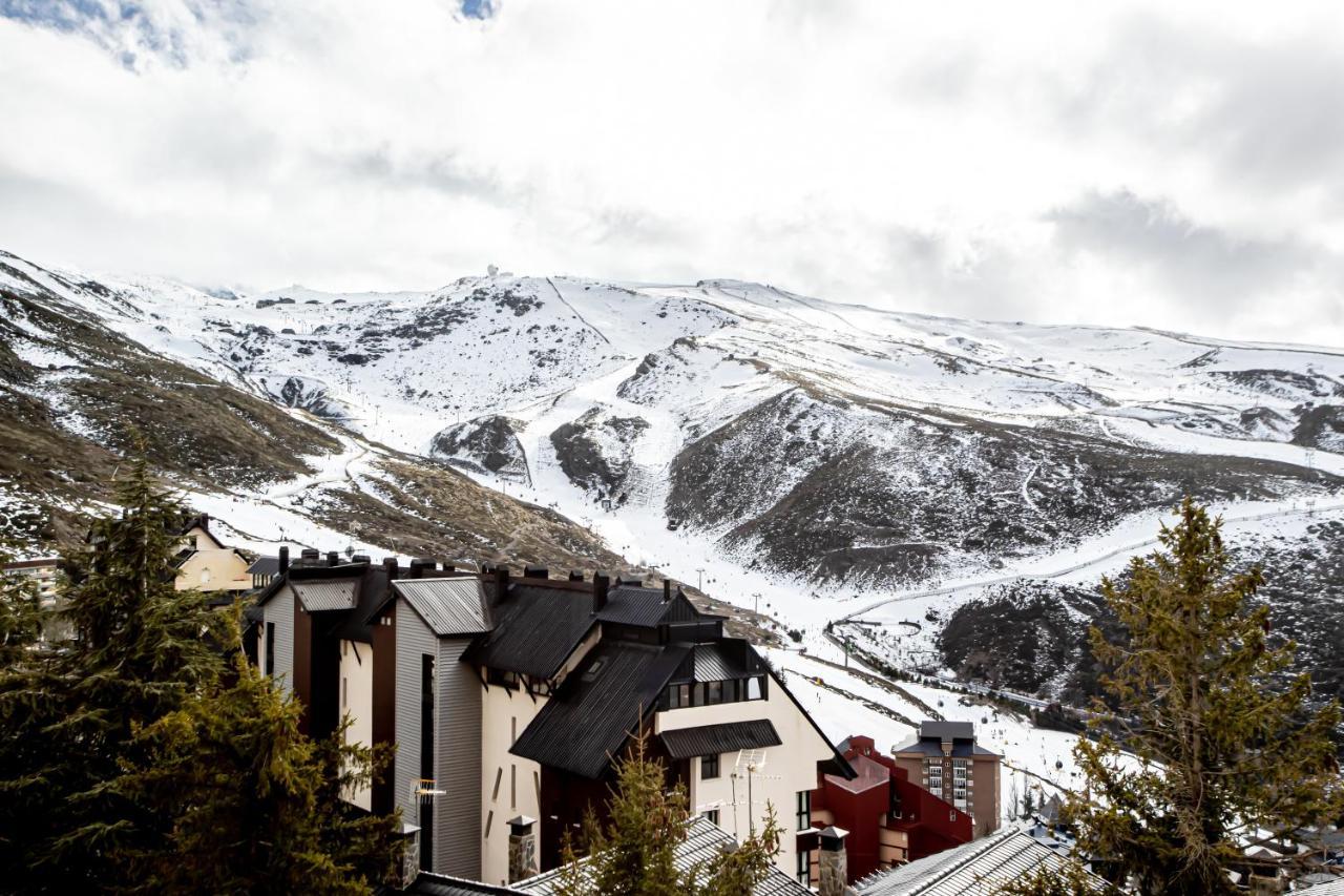Estudio Queen Sierra Nevada Ngoại thất bức ảnh